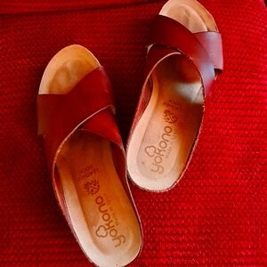 Beautiful red wedges